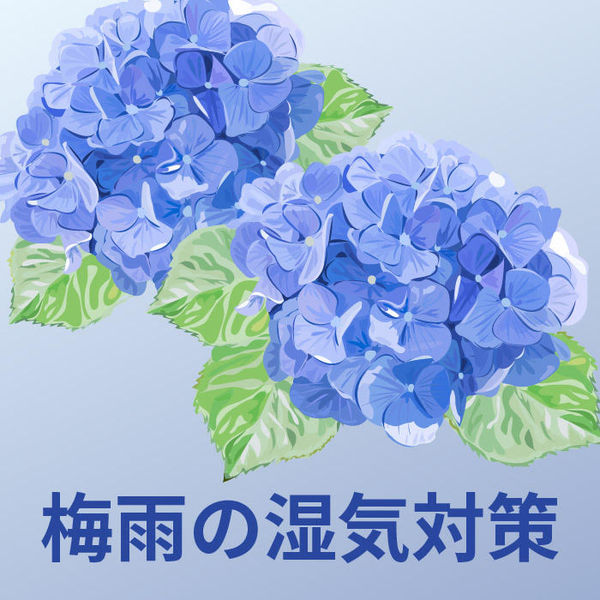 【銀座店】ジメジメした季節の除湿対策